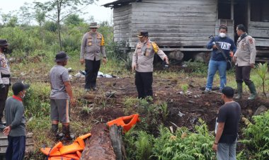 Temukan BB Kayu Ilegal di Kawasan PT PIB Muarojambi, Kapolda: Segera Angkut, Evakuasi