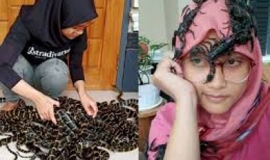 Viral! Cewek Berhijab Menggendong Puluhan Ular Berbisa, Netizen: Situ yang Gendong, Gue yang Merinding