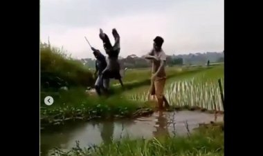 Viral Bocah Dilempar ke Kali oleh Pemuda, Netizen Meradang