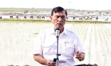 Gara-gara Nadiem, Kiai Sepuh Protes ke Luhut Soal Nama KH Hasyim Asy'ari Tak Masuk Kamus Sejarah