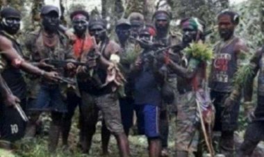 Soal KKB Teroris, PAN: TNI dan Polri Harus Tegas, Jangan lembek!