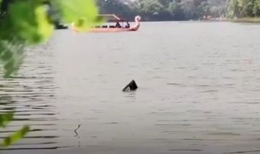 Heboh Helikopter Jatuh di Danau Buperta Cibubur, Begini Kata Polisi