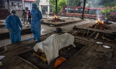 Hotman Paris Koar-koar di Media Sosial Soal Kartel Kremasi Jenazah Covid-19, Polisi: Sedang Kami Selidiki