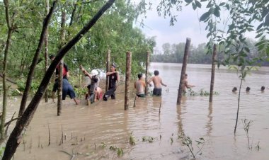 Ekowisata Mangrove di Desa Kuala Lagan Kabupaten Tanjabtim Diinisiasi Akademi Mahasiswa KKN Kebangsaan