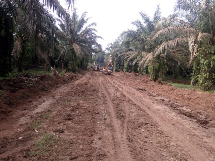 Akses Jalan Baru TMMD Tebo-Jambi, Petani: Memudahkan Kami Angkut Hasil Pertanian
