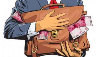 Heboh! Pemuda Ini Diduga Gelapkan 46 Ton Cumi, Polisi Tangkap Pelaku