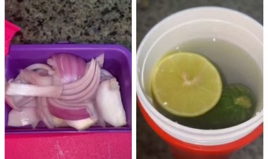 Bikin Ngakak! Perempuan Ini Bikin Bekal Sang Adik yang Lagi Marah, Netizen: Kalau Gue jadi Adeknya Mending Beli Nasi Padang