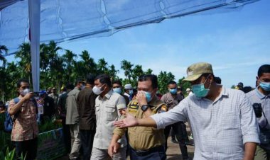 Gubernur Jambi Al Haris Kunker ke Tanjab Timur