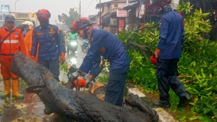Saat Menepi Pakai Jas Hujan, Pria Ini Nyaris Ditimpa Pohon di Pasar Minggu