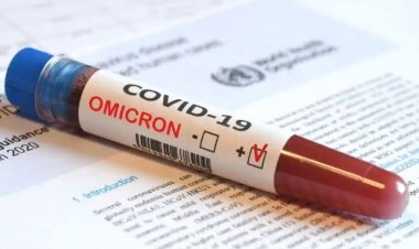 GISAID Sebut Ada 164 Kasus Omicron di Indonesia, Wagub DKI: Di Jakarta Sendiri Kasusnya Sudah 162 Orang