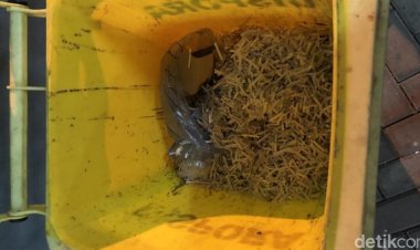 Viral! Diduga Dokumen di Pemkot Bekasi Dimusnahkan Usai OTT, Begini Kata KPK