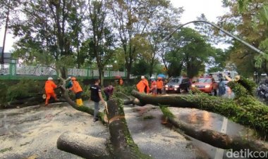 Begini Penampakan Ciamis Usai Diterjang Hujan Deras & Angin Kencang