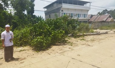 Tiang Tumbang, Aliran Listrik di Kumpeh Ulu Padam Sejak Subuh