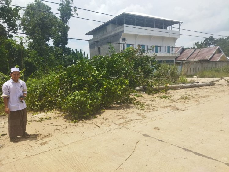 Tiang Tumbang, Aliran Listrik di Kumpeh Ulu Padam Sejak Subuh