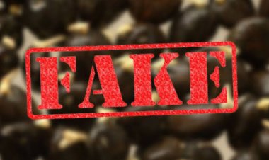 70 Persen Petani di Muaro Jambi Tanam Bibit Sawit Palsu