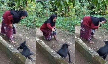Viral! Gadis Berhijab Mau Tolong Anjing Terlilit Tali tapi Ketakutan Dijilat, Netizen: Antara Mau Ketawa Sama Greget Bingung....
