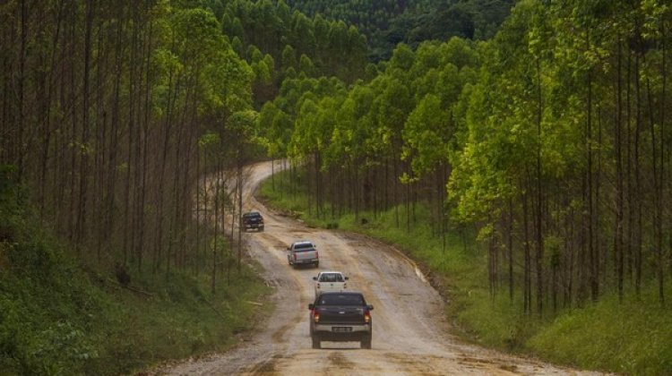 Jokowi Kemah Bareng dengan Gubernur se-Indonesia, Bagaimana dengan Anies?