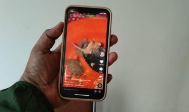 Viral! Bakso 'Tikus' di Karawang, Begini Faktanya