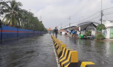 Lapor! Banjir Rob Menerjang Kawasan Pesisir Surabaya Utara