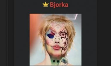 Benarkah Polisi Tangkap Pemuda Diduga Bjorka di Madiun?