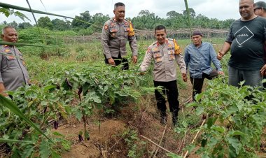 Polres Bungo Dukung Ketahanan Pangan Nasional: Tinjau Lahan Pertanian dan Galakkan Program Pemanfaatan Lahan Tidur