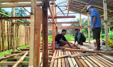 TMMD ke-123 Kodim 0416/Bute Tingkatkan Kesejahteraan Masyarakat dengan Pemasangan Lantai Kandang Kambing