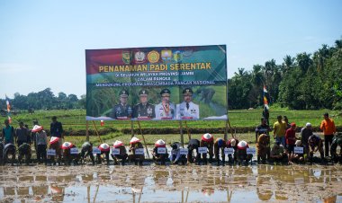 Sukseskan Program Swasembada Pangan Nasional, Kodim 0416/Bute Ikuti Penanaman Padi Serentak se-Provinsi Jambi