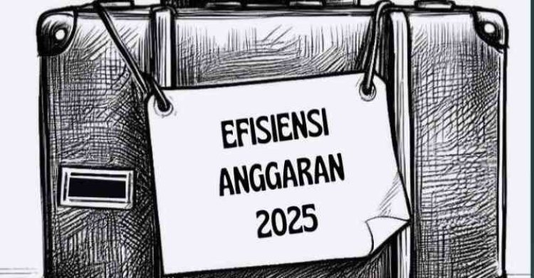 Efisiensi Anggaran 2025, Saatnya Pemkab Bungo Memprioritaskan Kolaborasi SDM dan Dunia Usaha