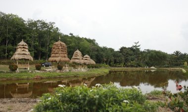 DANA DESA PENYALURAN DAN PENGGUNAANNYA