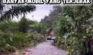 Waspada Longsor dan Banjir, BPBD Bungo Pantau Ruas Limbur Pelayang dan Debit Sungai