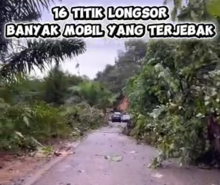 Waspada Longsor dan Banjir, BPBD Bungo Pantau Ruas Limbur Pelayang dan Debit Sungai
