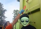 Sopir Ditemukan Tewas Tergantung di Area Pabrik PT BAS, Diduga Terlilit Utang Rp16 Juta