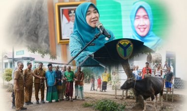 Hj. Hesnidar Haris Serahkan Hewan Kurban untuk Masyarakat Batang Hari dan Muaro Jambi