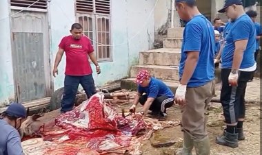 PDM Bungo Bersama Jamaah Masjid Al-Furqon dan UMMUBA Laksanakan Pemotongan 11 Ekor Sapi Kurban di Islamic Center Muhammadiyah