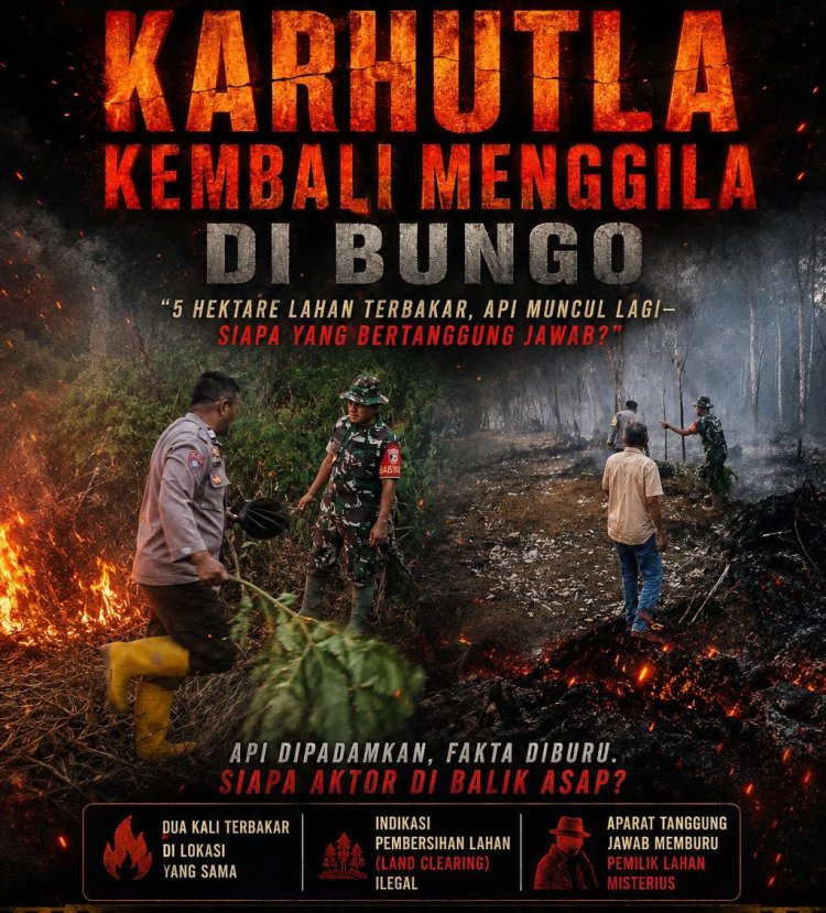 Karhutla Kembali Menggila di Bungo: 5 Hektare Lahan Terbakar, Api Muncul Lagi-Siapa yang Bertanggung Jawab?