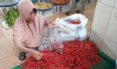 Harga Cabai Merah Makin Pedas, Tembus Rp100 Ribu Perkilogram di Pasar Rantau Ikil dan Tanjung Belit