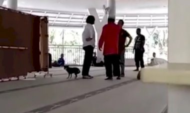 Viral, Wanita Ngamuk dan Bawa Anjing di dalam Masjid Al-Munawwarah Sentul City