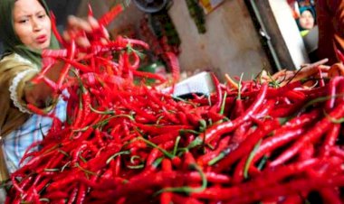 Harga Cabai Merah Meroket Rp80.000/Kg