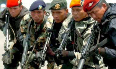 Tim Elite Koopssus Bentukan Jokowi, Apa Kelebihannya?