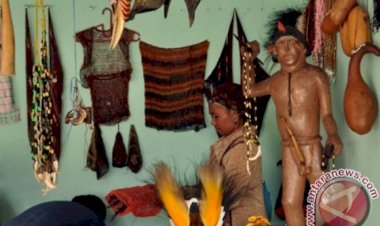 Peniliti Minta Warga Lestarikan Koteka