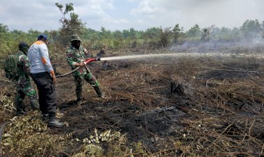 Lima Titik Api Muncul Hari Ini, Kebakaran Lahan di Muaro Jambi Semakin Meluas