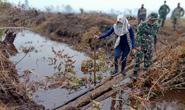 Api Lahan Gambut di Kedalaman 3 Meter Membuat Satgas Karhutla Sulit Lakukan Pemadaman