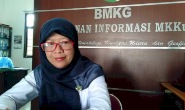 BMKG Sebut Kabut Asap di Jambi Sudah Cukup Mengganggu