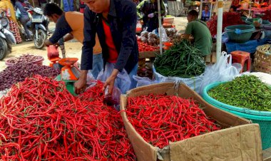 Harga Cabai Meroket, Emak-emak Jambi Menjerit