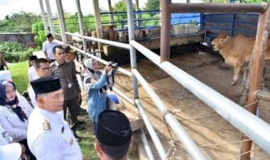 Spektakuler, Pemkot Jambi Sembelih 163 Hewan Qurban