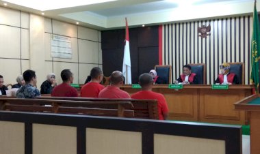 4 Penyelundup 113.412 Baby Lobster Didakwa Bersalah