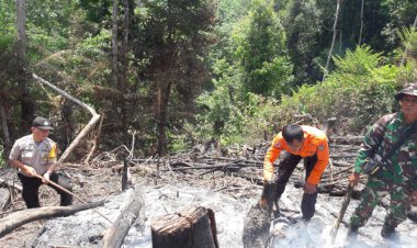 Di Merangin Kebakaran Lahan Terjadi, Petugas Buru Pelaku