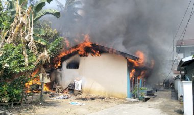 Api Membara, Bedeng Tiga Pintu di Bungo Ludes Terbakar