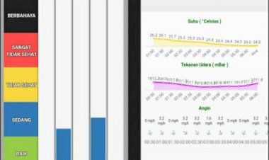 Kabut Asap Tebal, DLH Jambi Sebut ISPU Masih Sedang