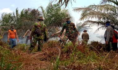 40 Hektar Lahan di Batang Asam Terbakar, Tim Padamkan Manual
